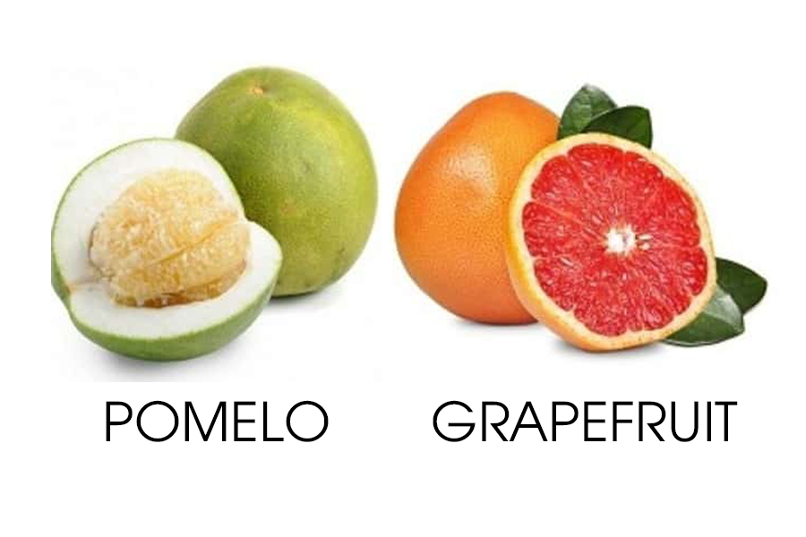 Phân biệt grapefruit và pomelo