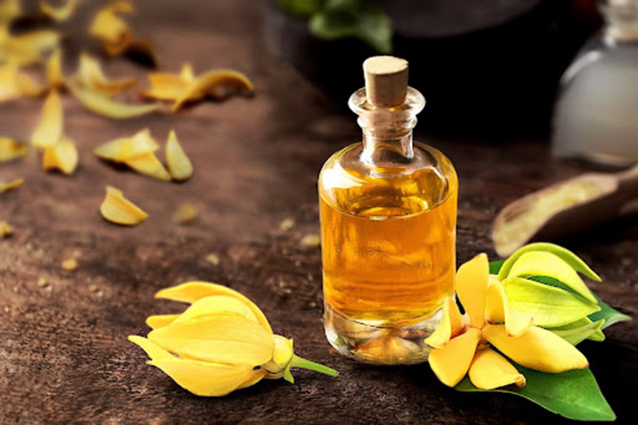 Tinh dầu ngọc lan tây - Hương thơm nồng nàn mê hoặc mọi giác quan