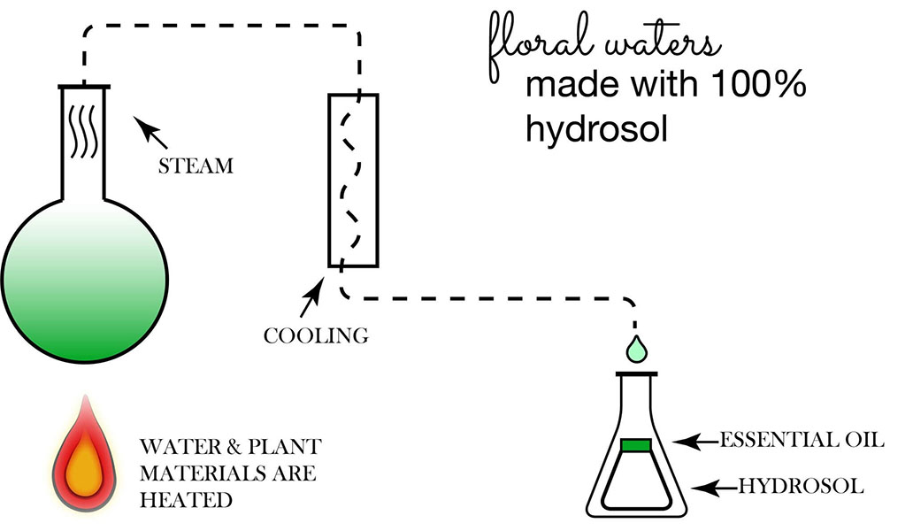 quá trình chiết xuất hydrosol