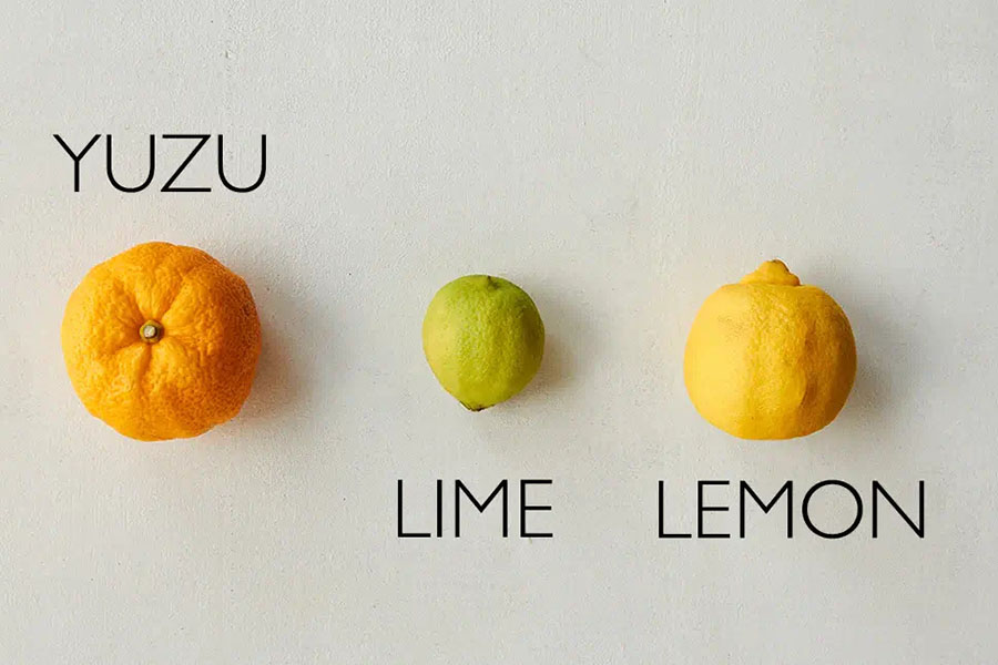 Quả-Yuzu-và-vài-loại-quả-khác-cùng-chi-Citrus