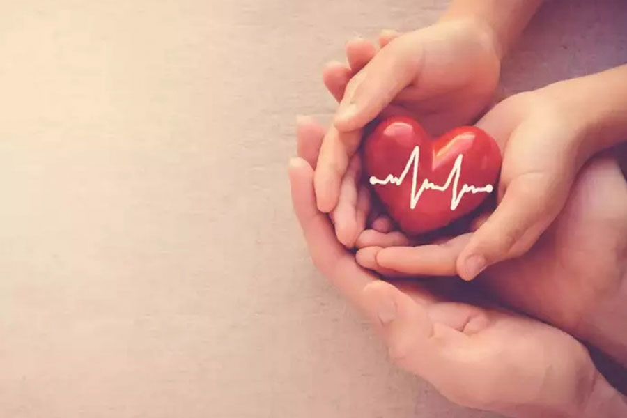 Hình- 2 Dầu hạt điều giúp bạn có trái tim khỏe mạnh
