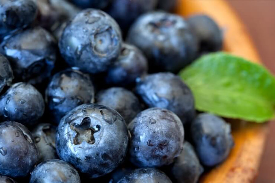 Hình 1. Quả việt quất Blueberry khá quen thuộc với người tiêu dùng.