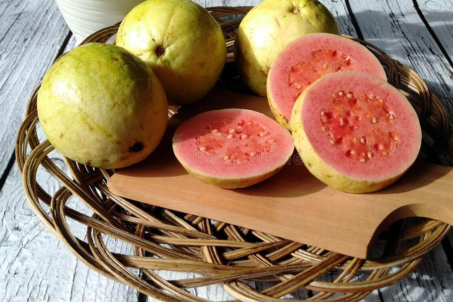 Hình 1_thực vật Guava