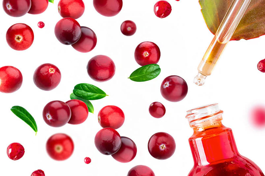 Hình 4. Có thể ứng dụng dầu Cranberry trong nhiều khía cạnh cuộc sống.