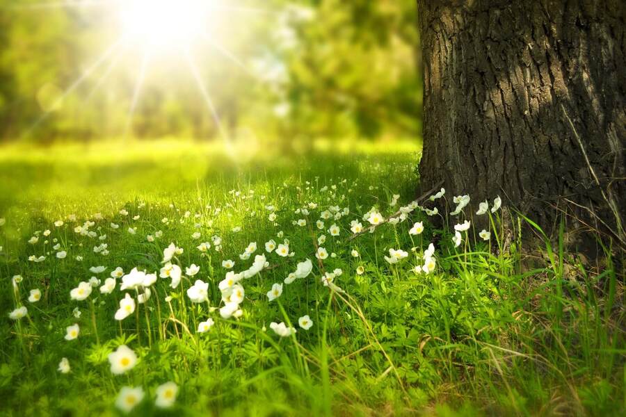 Mùa xuân là mùa của sự đổi mới, năng lượng tràn trề.