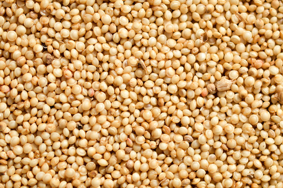 Hạt rau dền (Amaranth seed)