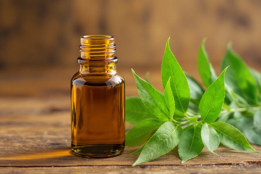 Dầu neem tự nhiên trong chai thủy tinh nâu và lá neem tươi cho nông nghiệp hữu cơ