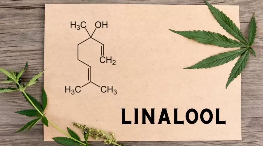 linalool