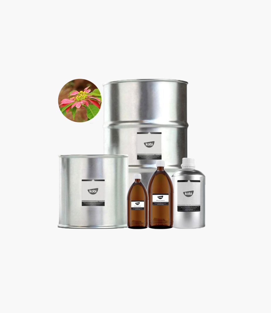 tinh dầu trạng nguyên Kobi – poinsettia absolute hương xanh nhẹ pha hoa giúp thư giãn và tạo cảm giác dễ chịu