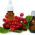 Hình 3: dầu hạt từ Cranberry có mùi thơm nhẹ, dễ chịu.
