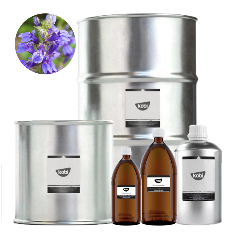 tinh-dau-bai-huong-hyssop