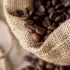 Coffee-Bean Fragrance Oil