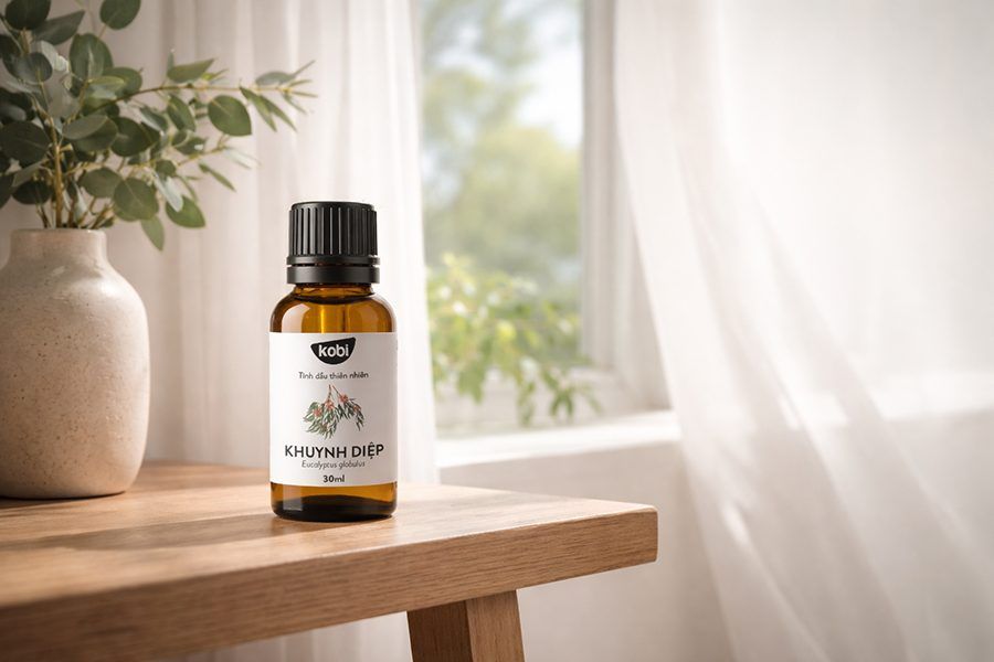 công dụng của dầu khuynh diệp trong không gian sống thông thoáng