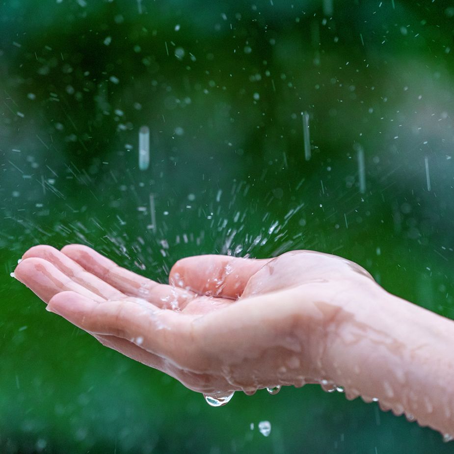 After-the-Rain-Fragrance-Oil