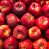 Apple-and-Sage
