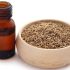 Hình 5 Tinh dầu tiểu hồi cần đem lại lợi ích sức khỏe đa dạng.