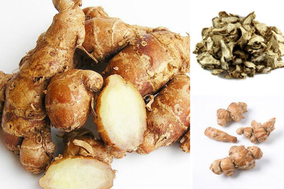 Bộ phận thường được ứng dụng của thực vật là phần thân rễ.