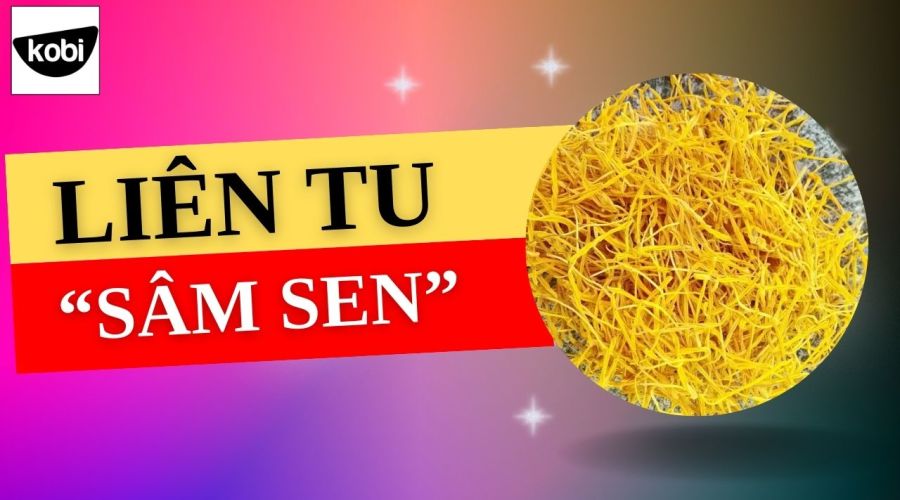 Liên tu - "Sâm sen" cho sức khỏe: Bí quyết trường thọ từ thiên nhiên