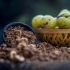 Hình 5. Dầu Amla được chiết xuất chủ yếu từ phần quả.