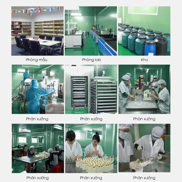 Hình ảnh xưởng sản xuất và phòng lab của Kobi Việt Nam – quy trình kiểm nghiệm, chiết rót và đóng gói tinh dầu đạt chuẩn an toàn, vệ sinh.