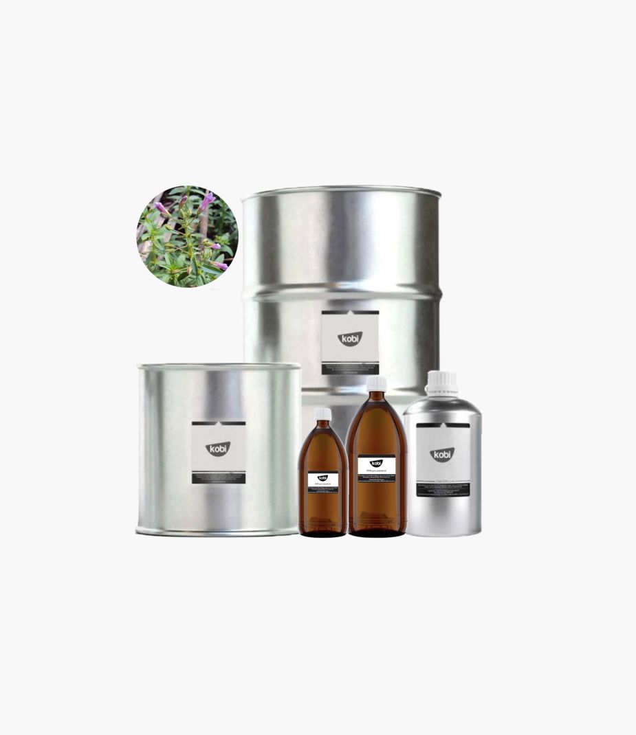tinh dầu rau ngổ Kobi nguyên chất – limnophila essential oil hương thảo mộc xanh thơm mát giúp khử mùi và làm sạch không khí