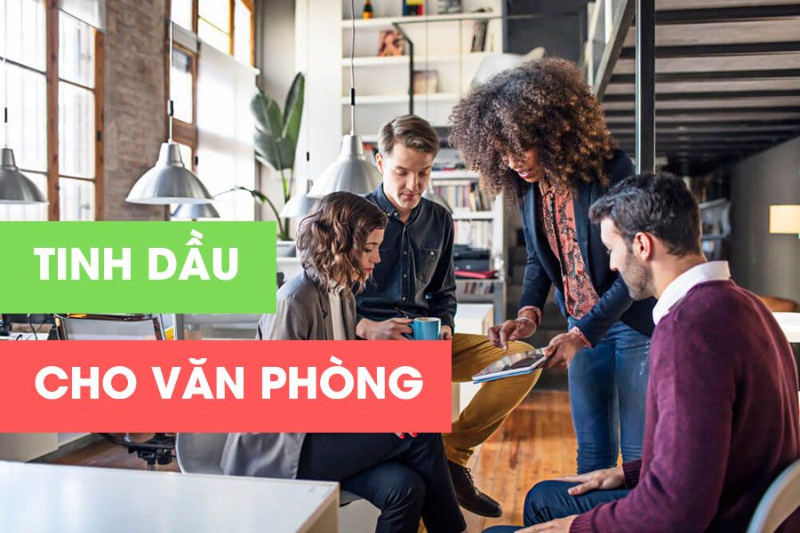0---tinh-dầu-cho-văn-phòng