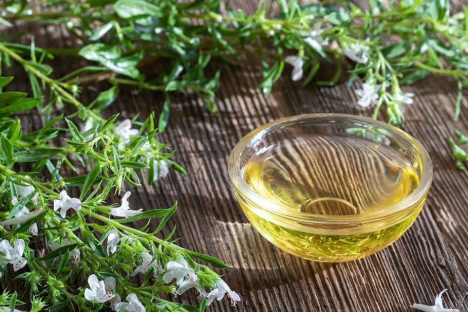 Hình 1. Tinh dầu húng hương núi mang mùi hương đặc trưng