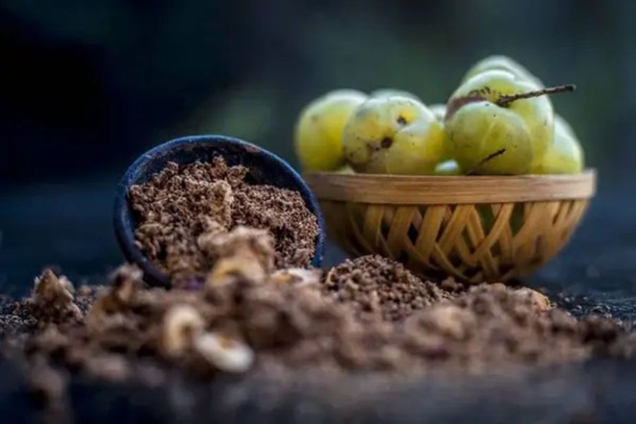 Hình 5. Dầu Amla được chiết xuất chủ yếu từ phần quả.