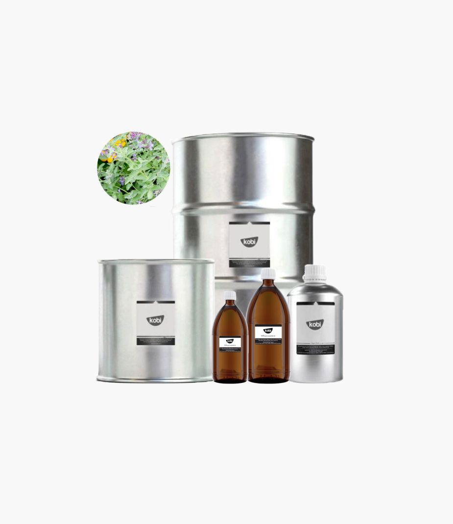 tinh dầu bạc hà mèo Kobi nguyên chất – catnip essential oil hương thảo mộc the dịu giúp thư giãn và làm sạch không gian