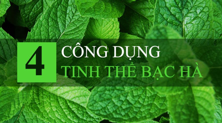 4 công dụng nổi bật của tinh thể bạc hà