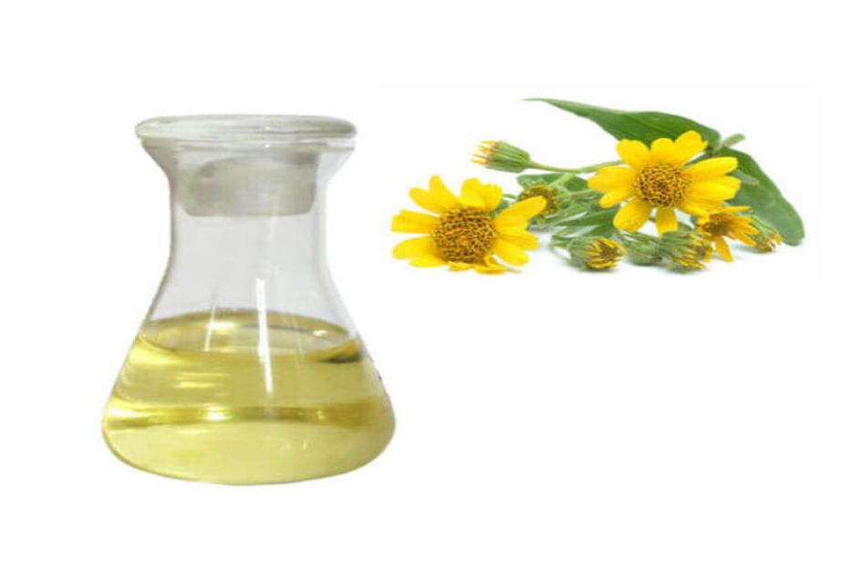 Hình 2. Dầu Cúc Kim Sa chứa đa dạng acid béo có lợi