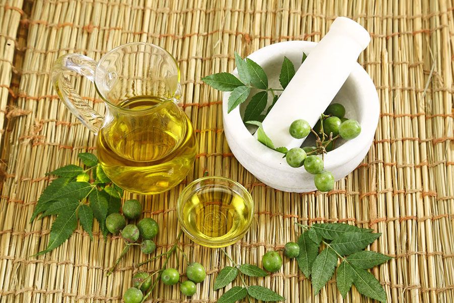 Dầu cây sầu đâu (neem)