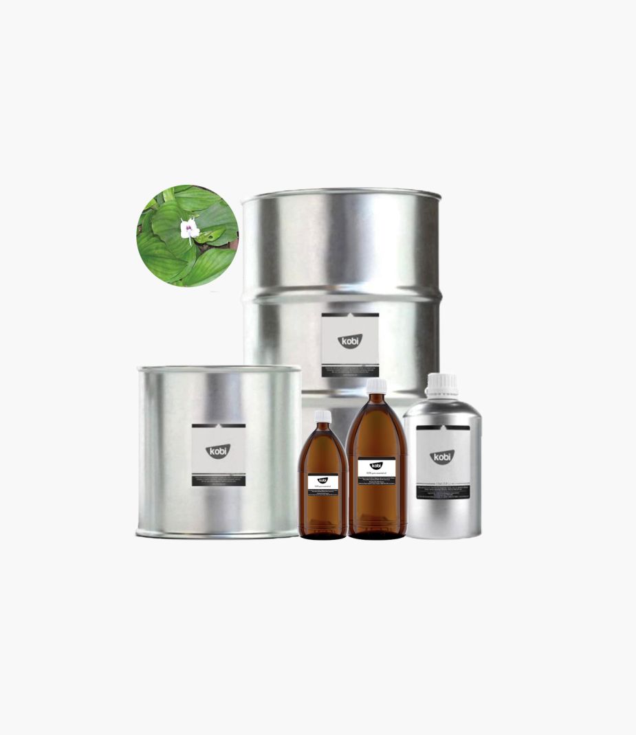 tinh dầu địa liền Kobi nguyên chất – kaempferia galanga essential oil hương ấm cay thoảng gỗ giúp làm ấm và thư giãn