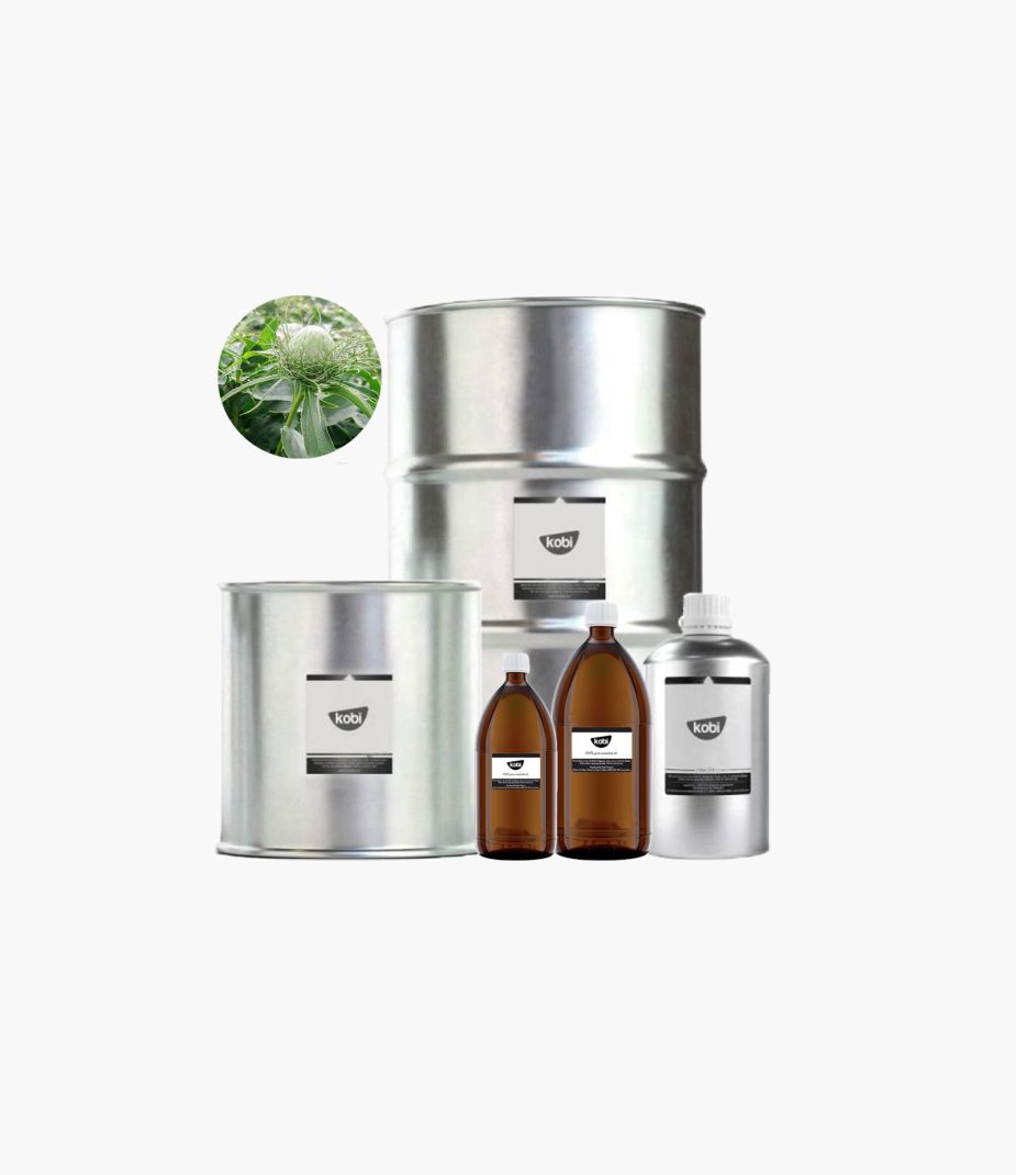tinh dầu bạch truật Kobi nguyên chất – atractylodes essential oil hương thảo mộc ấm đất giúp thư giãn và làm sạch không khí