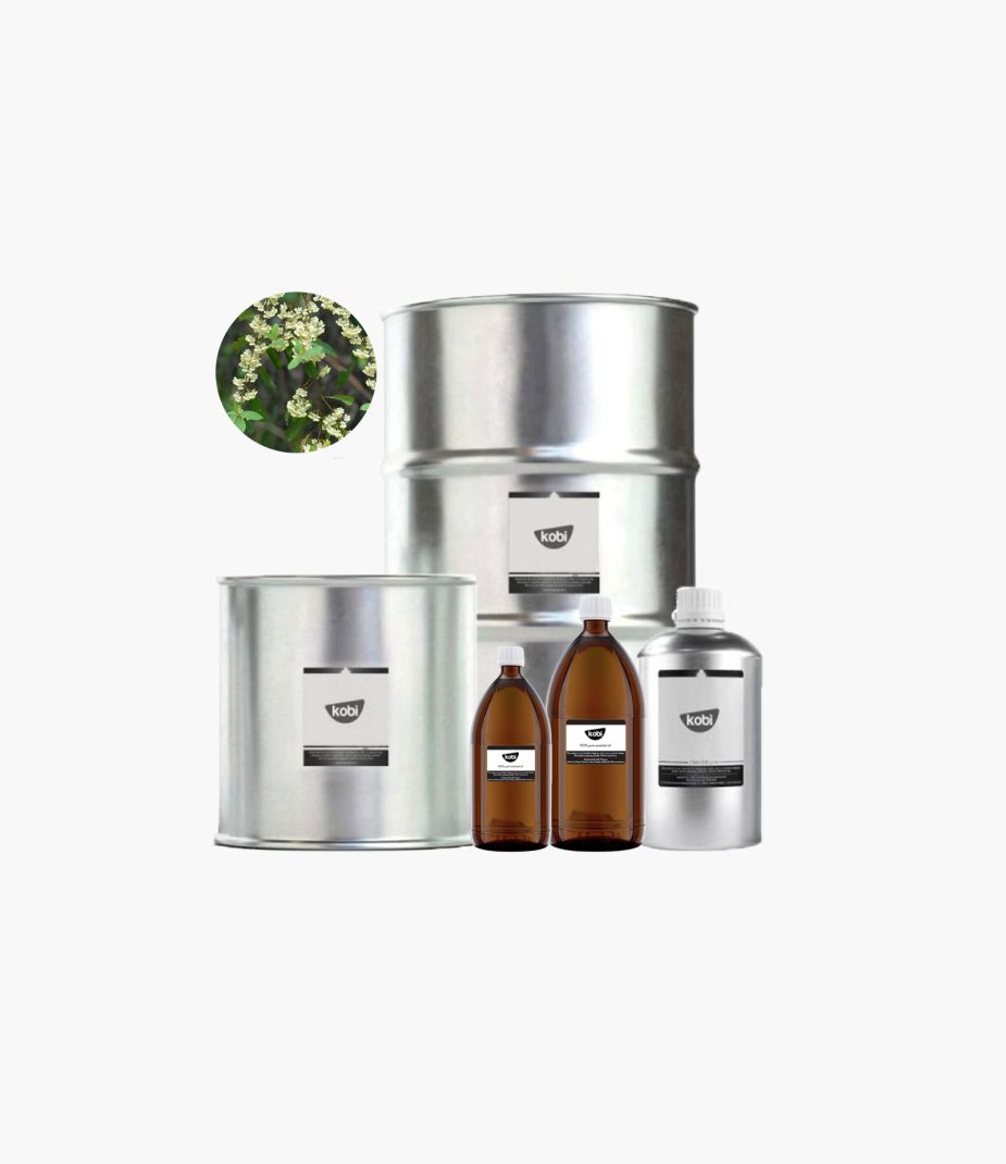tinh dầu màng tang Kobi nguyên chất – litsea cubeba essential oil hương cam chanh tươi sáng giúp nâng tinh thần và khử mùi