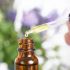 Hình 4. Tinh dầu từ quả Vitex mang đến lợi ích sức khỏe đa dạng