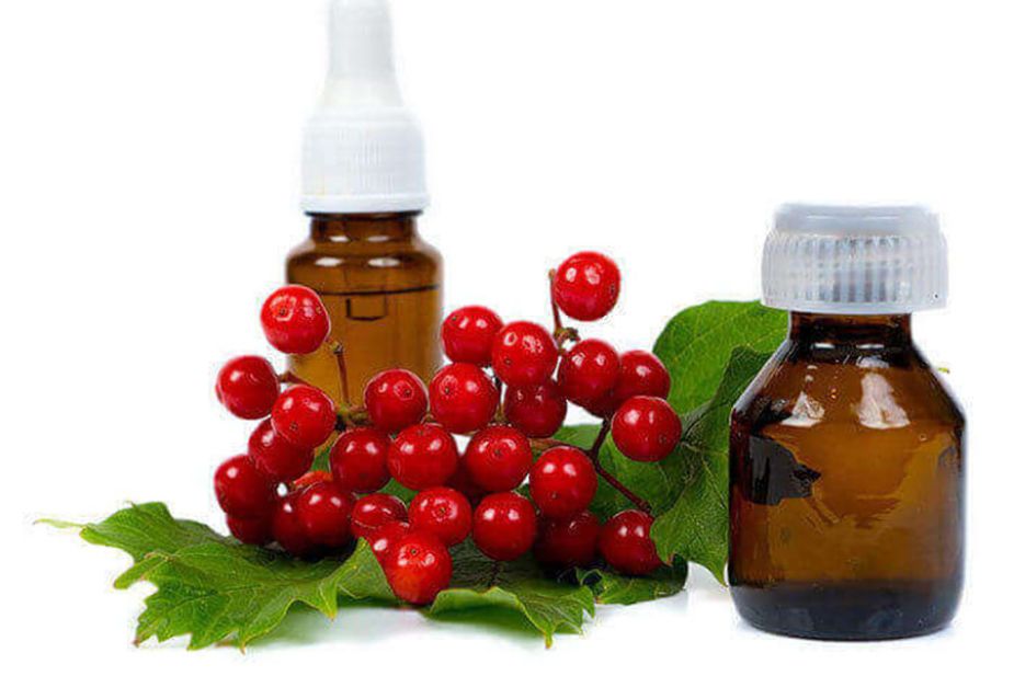 Hình 3: dầu hạt từ Cranberry có mùi thơm nhẹ, dễ chịu.