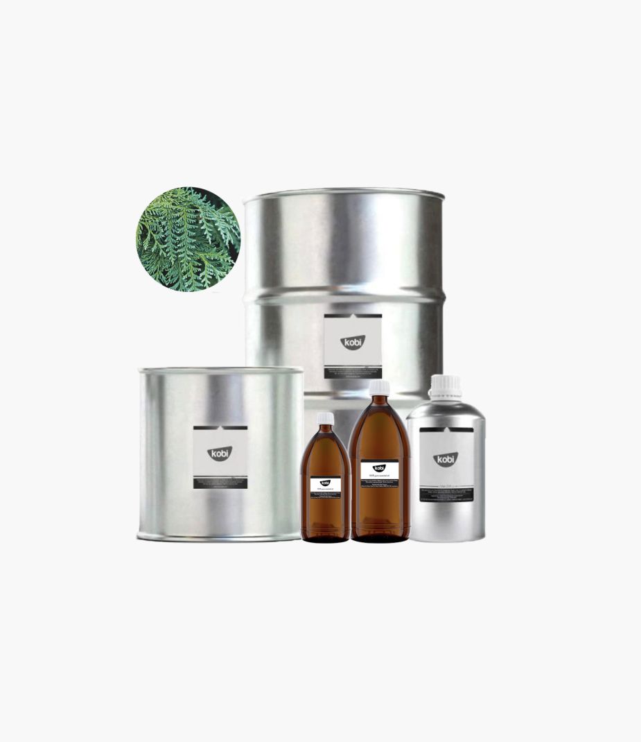 tinh dầu nhai bách Kobi nguyên chất – thuja essential oil hương gỗ nhựa sắc tươi giúp thanh lọc không khí