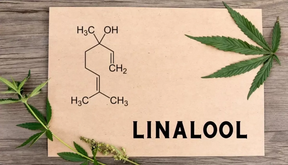 linalool