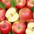 Hình 1. Táo tây Malus domestica