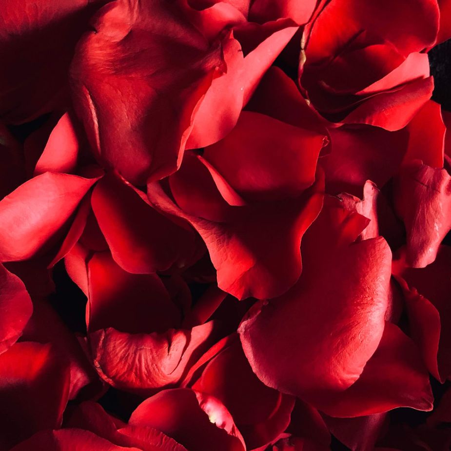 Fairy-Tale-Rose fragrance oil