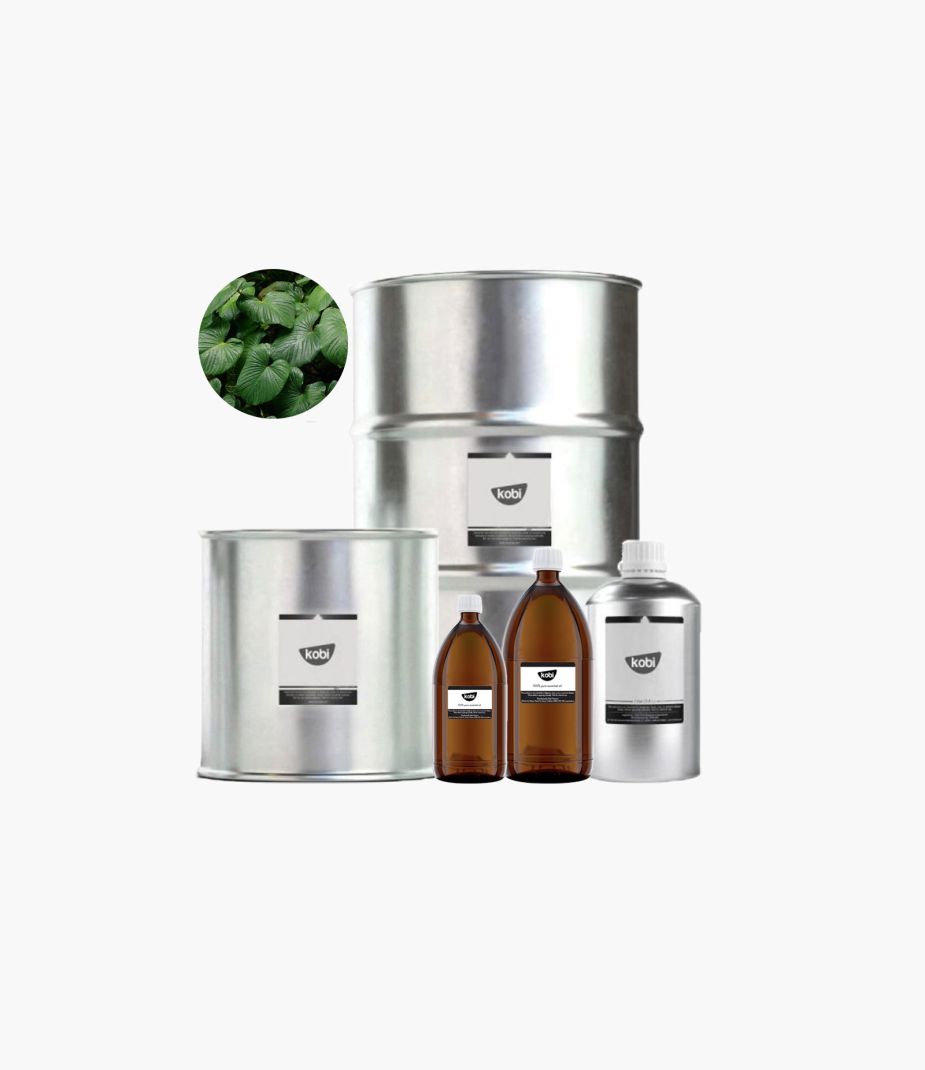 tinh dầu thiên niên kiện Kobi nguyên chất – homalomena essential oil hương ấm cay hơi gỗ giúp thư giãn và làm sạch không khí