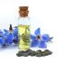 Hình 2 dầu hạt borage chứa hàm lượng GLA rất cao
