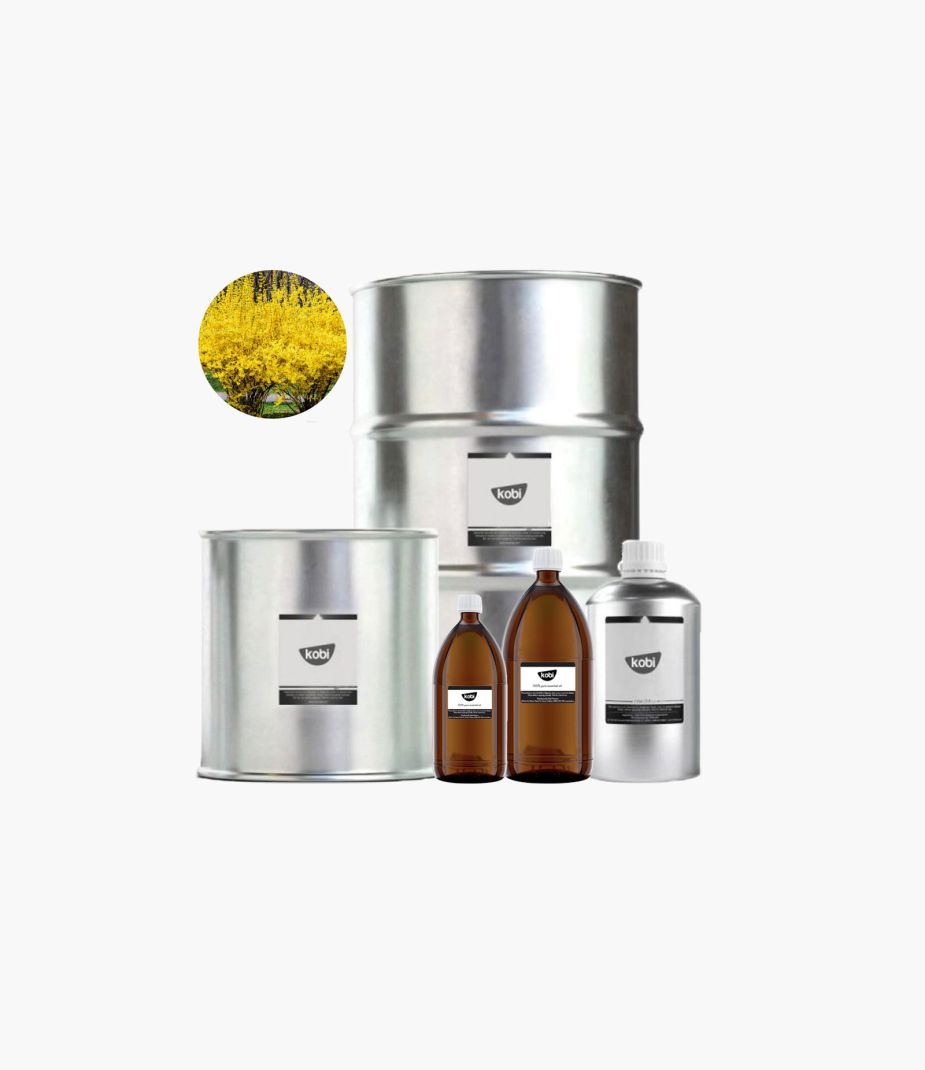tinh dầu liên kiều Kobi nguyên chất – forsythia essential oil hương thảo mộc nhẹ pha hoa giúp thanh lọc và thư giãn