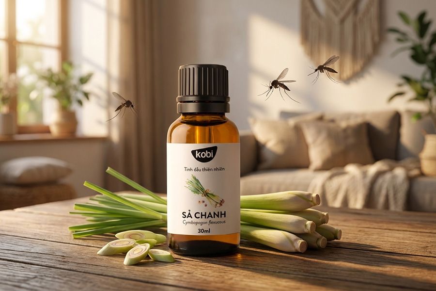 tinh dầu sả chanh đuổi muỗi trong không gian gia đình