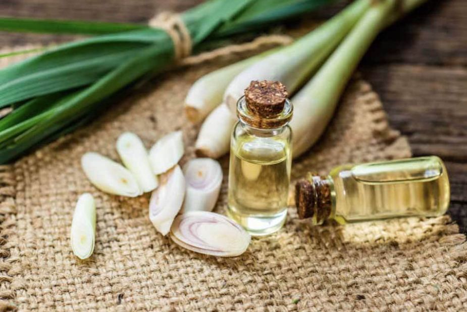 Hình 3. Tinh dầu sả Sri Lanka mùi hương ấn tượng