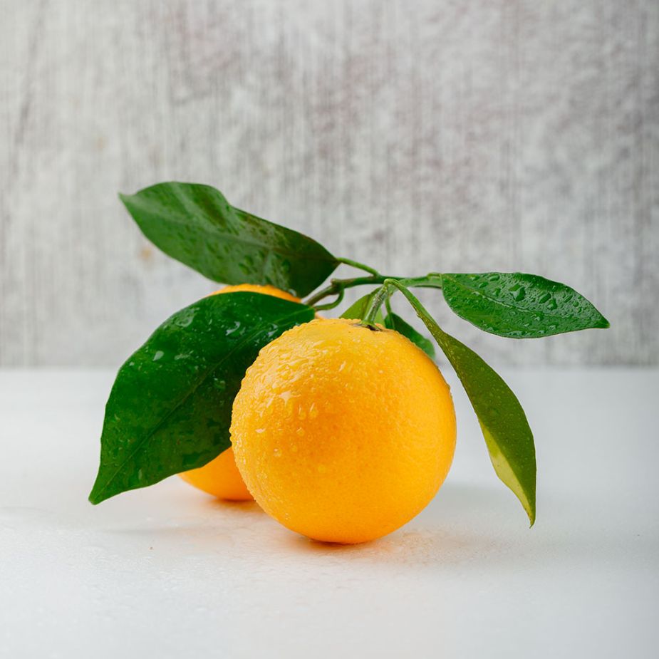 Yuzu Cybilla Fragrance Oil