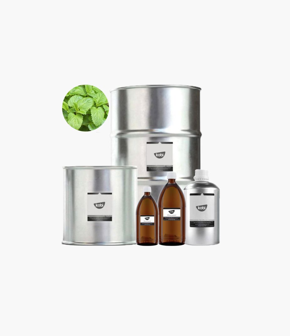 tinh dầu tía tô đất Kobi nguyên chất – melissa essential oil hương đất ấm trầm nhẹ giúp thư giãn sâu