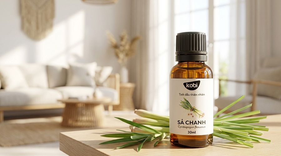 tinh dầu sả chanh khử mùi trong phòng khách