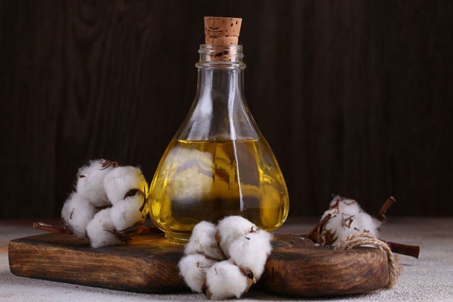 Hình 4. Dầu hạt Cotton còn giúp dưỡng da và dưỡng tóc